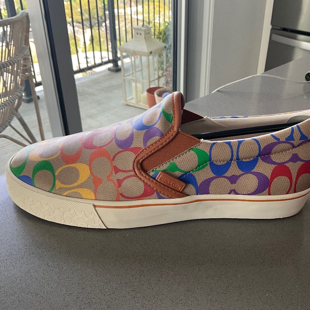 Coach Men's Pride Slip-On Skate Sneakers